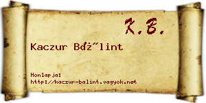 Kaczur Bálint névjegykártya