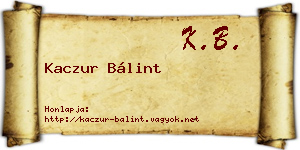 Kaczur Bálint névjegykártya