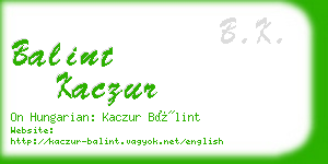 balint kaczur business card